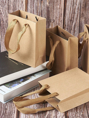 Customized Logo Paper Gift Bags Twisted Handle All Occasion Shoe / Clothing Packaging