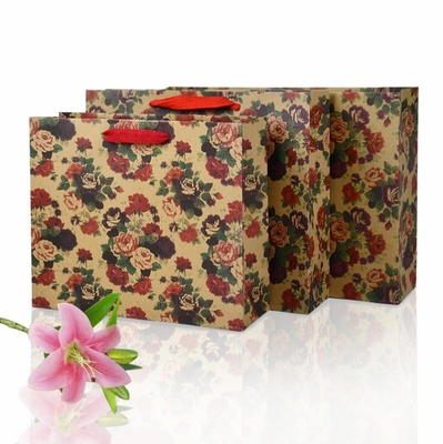 Eco Friendly Simple Style Custom Printed Paper Bag Highly Durable